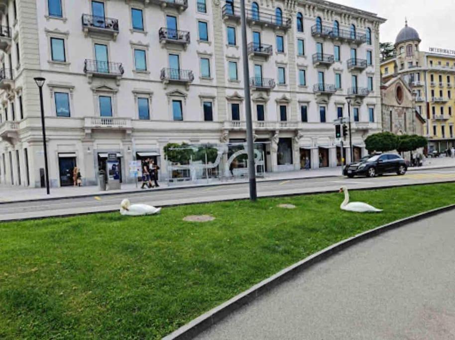 Urban Flat Apartment Lugano Bagian luar foto